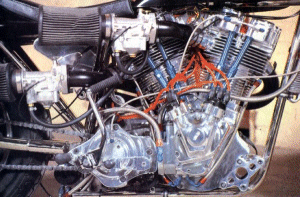 harmon-2.gif
