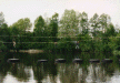 10.gif - 7,82 K