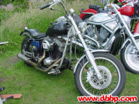 dr1-73.jpg