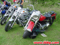 dr1-74.jpg