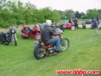dr1-80.jpg