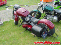 dr1-81.jpg