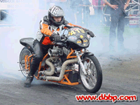 dr084.jpg