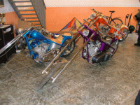 nt39.jpg