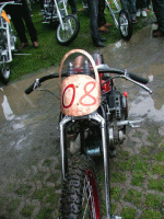 nt43.jpg