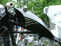 nt47.jpg
