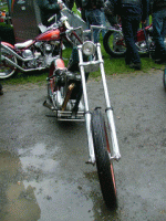 nt51.jpg