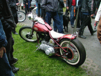 nt67.jpg