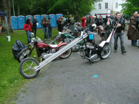 nt81.jpg