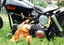 .....at Tequila-party