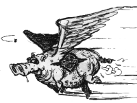 Hog #2