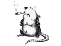 Rat!